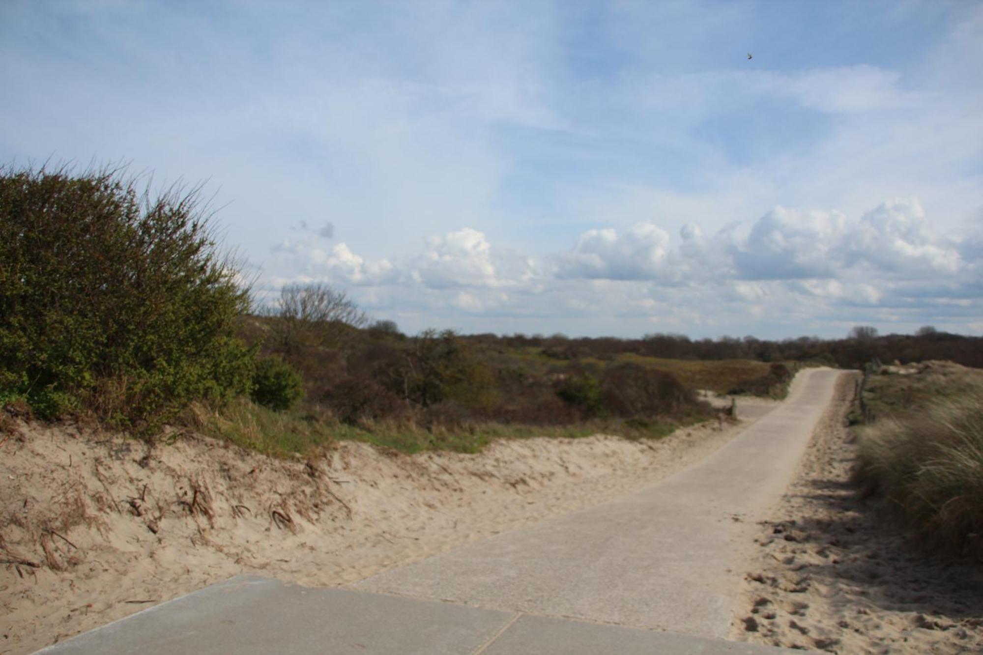 Bondi Beach Renesse Exterior foto